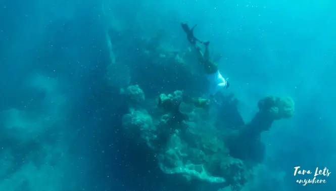 Shipwreck in Apo Reef