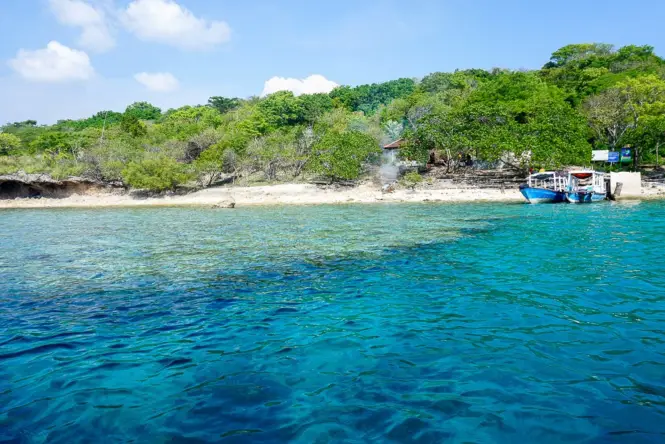 Best snorkeling spots in Southeast Asia - Menjangan Island