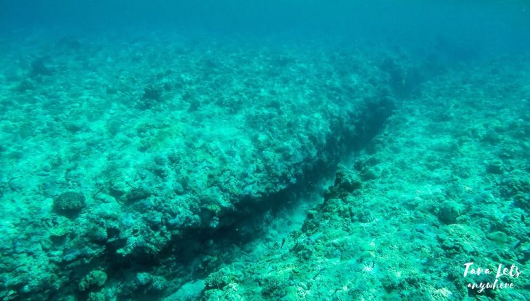 Underwater canal in Apo Reef