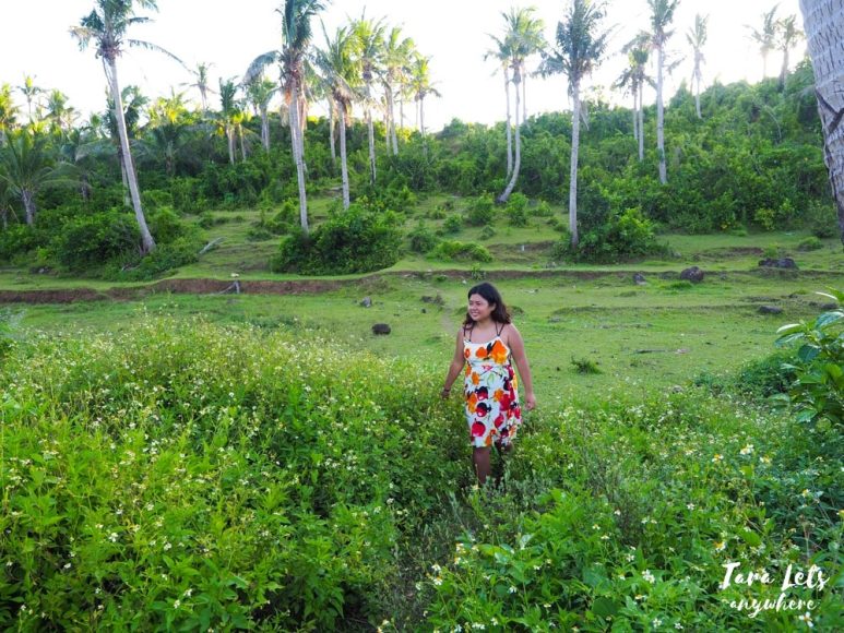 Wild flowers in Dumagat Village, Palanan