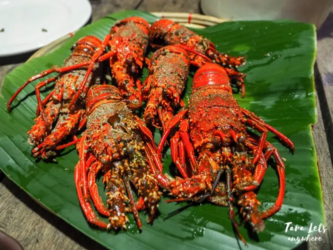 Lobsters in Palanan, Isabela
