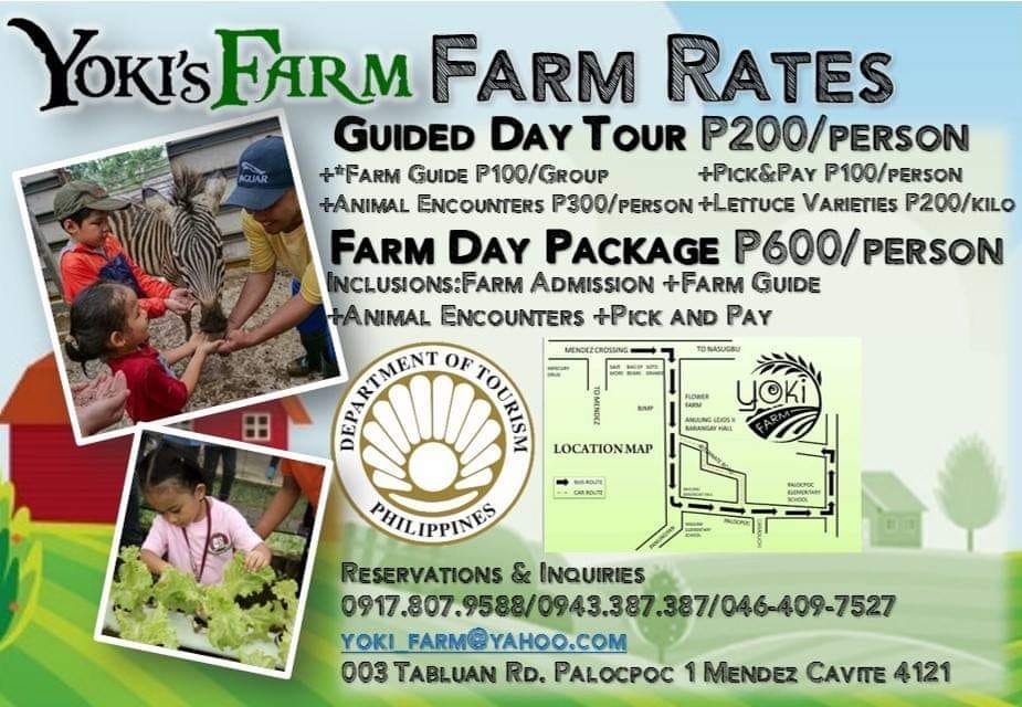 Yoki's Farm tour packages