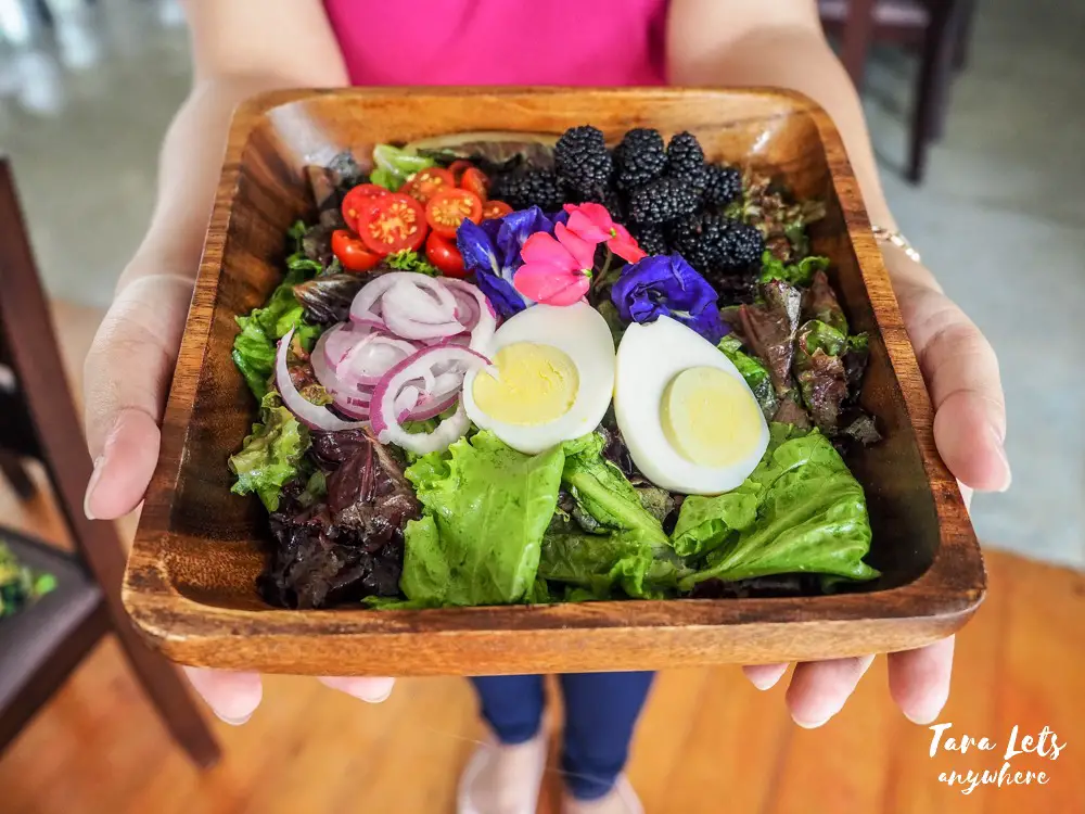 Yoki's Farm signature salad