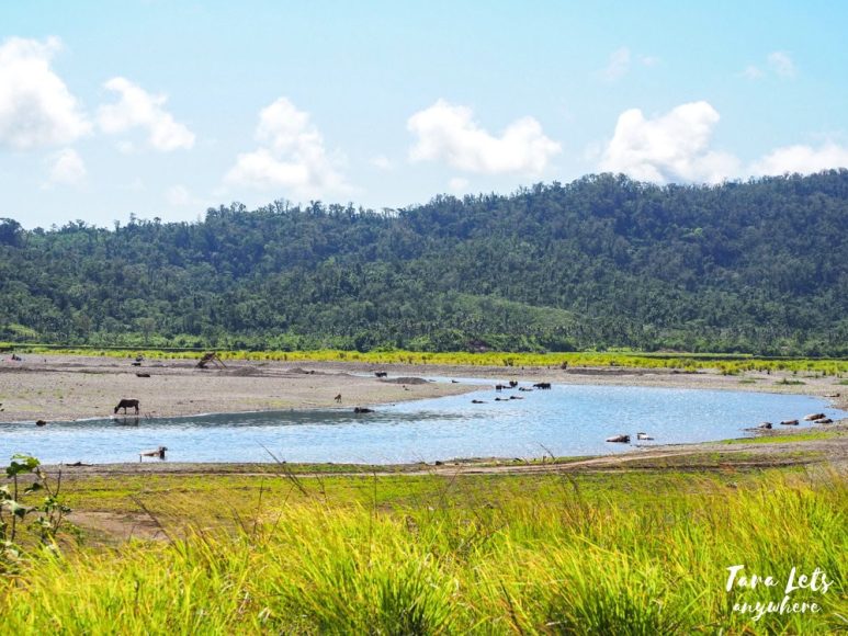 River near Blue Lagoon, Isabela
