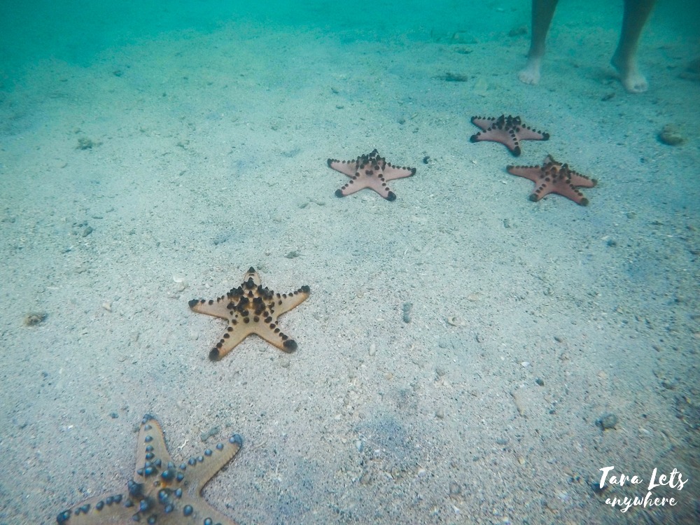 Port Barton - Starfish Island