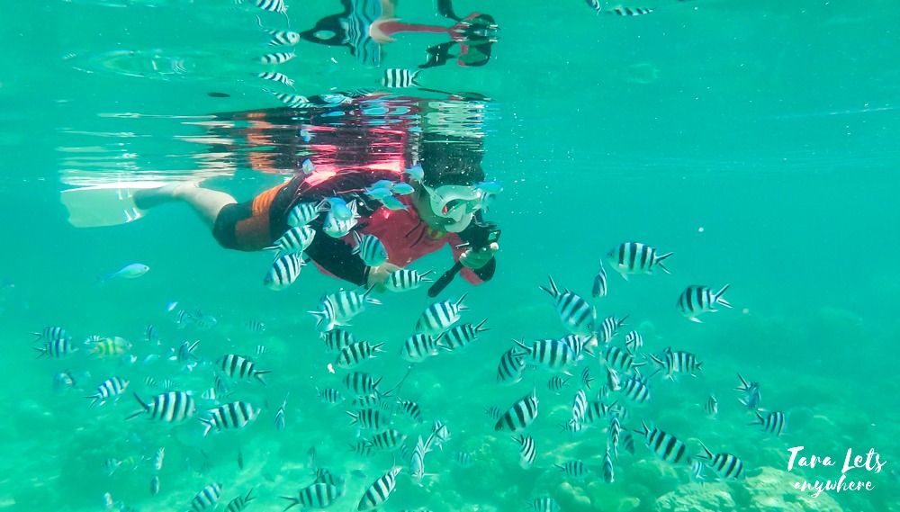 Port Barton island hopping - Twin Reef