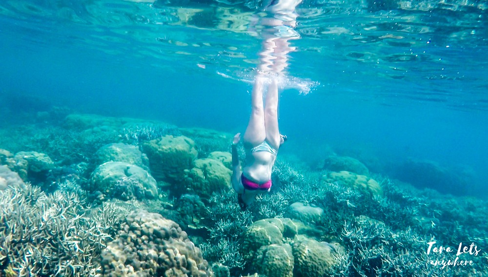 Port Barton island hopping - Twin Reef