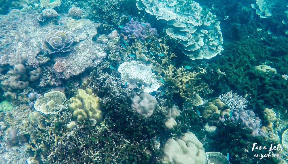 Port Barton island hopping - Wide Reef