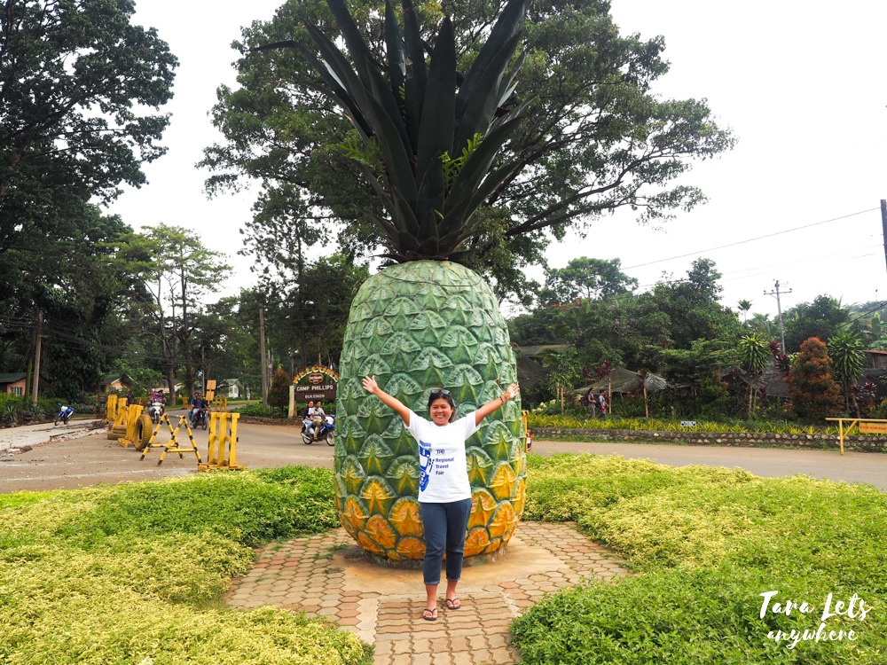 Del Monte Farm in Bukidnon