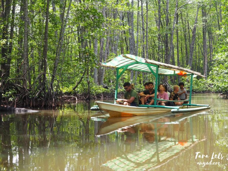 Mangrove tour in Sabang
