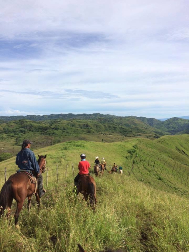 Mapawa Mature Park - horseback riding
