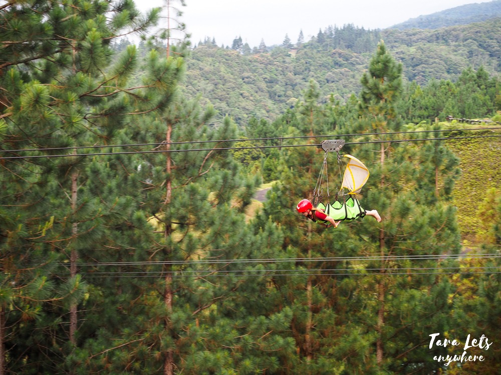 Zipline in Dahilayan Adventure Park