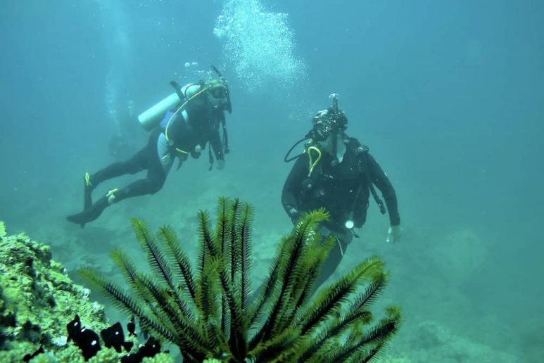 Best dive spots in Southeat Asia - Nha Trang, Vietnam
