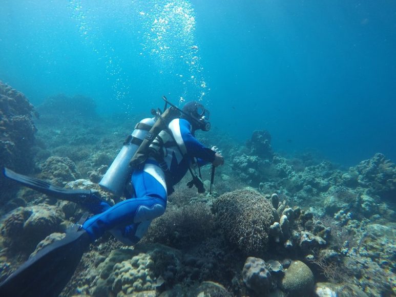 Eagle Point Resort - scuba diving