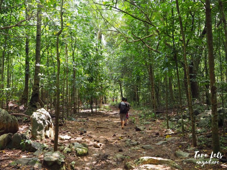 Trail to Nagpatong Rock