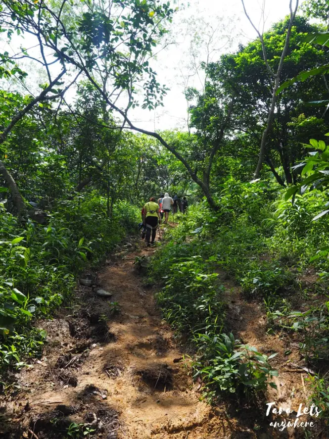 Trail to Nagpatong Rock