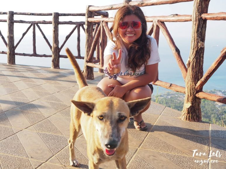 Dog guide in Bud Bongao