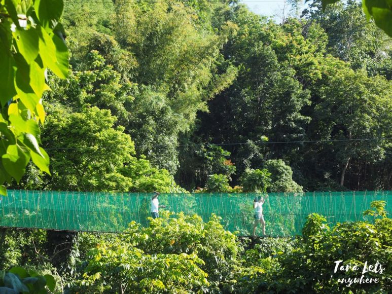 Sorosoro Springs Mountain Resort - monkey bridge