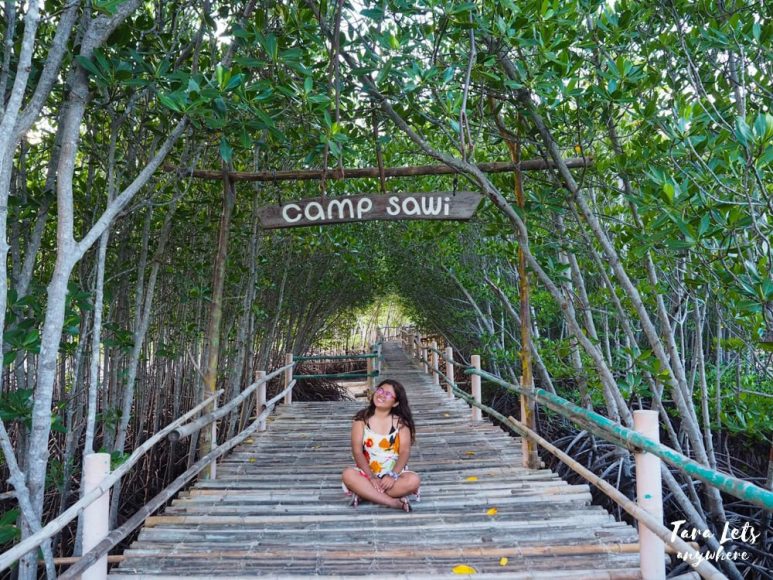 Mangrove Park in Bantayan Island, Cebu