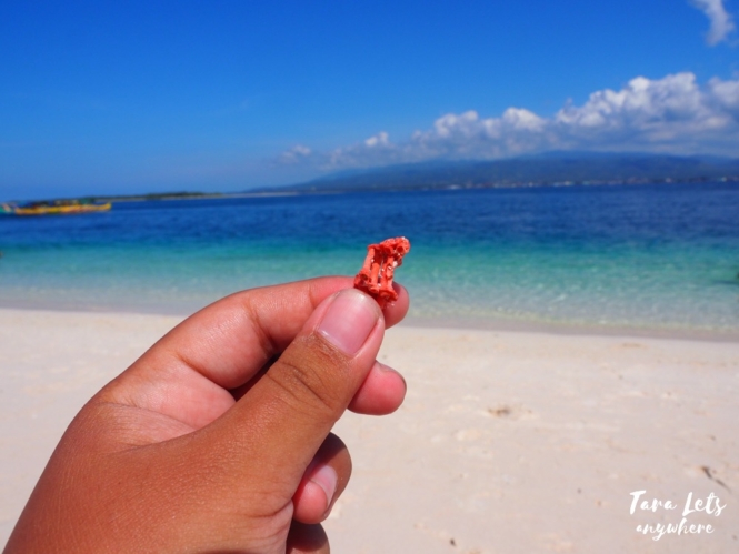 Red corals in Zamboanga's Pink Beach