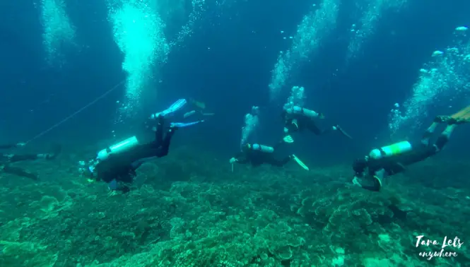 Scuba diving in Pescador Island, Cebu