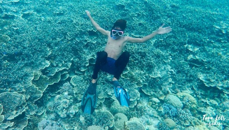 Snorkeling in Pescador Island, Moalboal