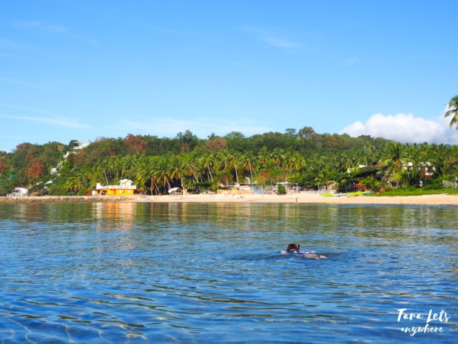 Snorkeling in Sawang in Lobo, Batangas