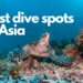Best scuba diving in Asia
