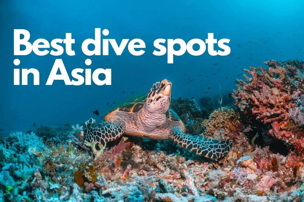 Best scuba diving in Asia