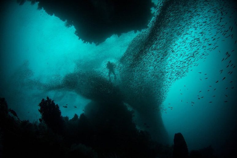 Best dive spots in Southeast Asia - Raja Ampat, Indonesia