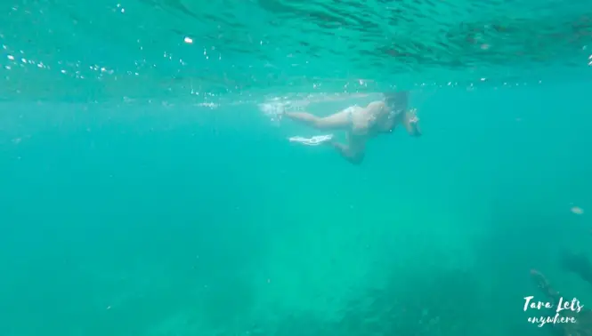 Snorkeling in Malapascua