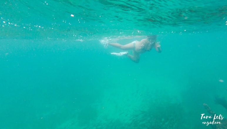 Snorkeling in Malapascua