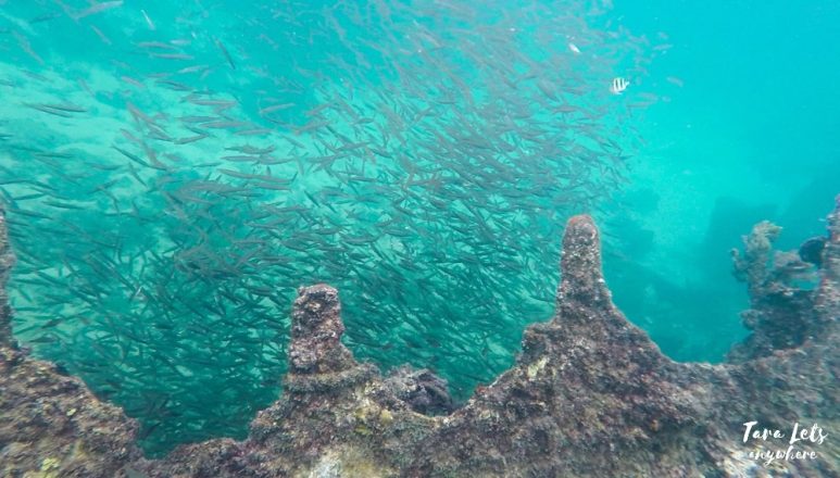 Malapascua Japanese shipwreck