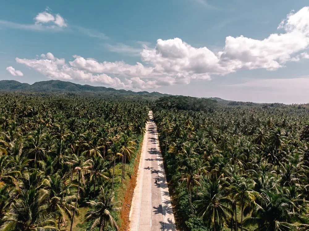 Road in Siargao, Philippines