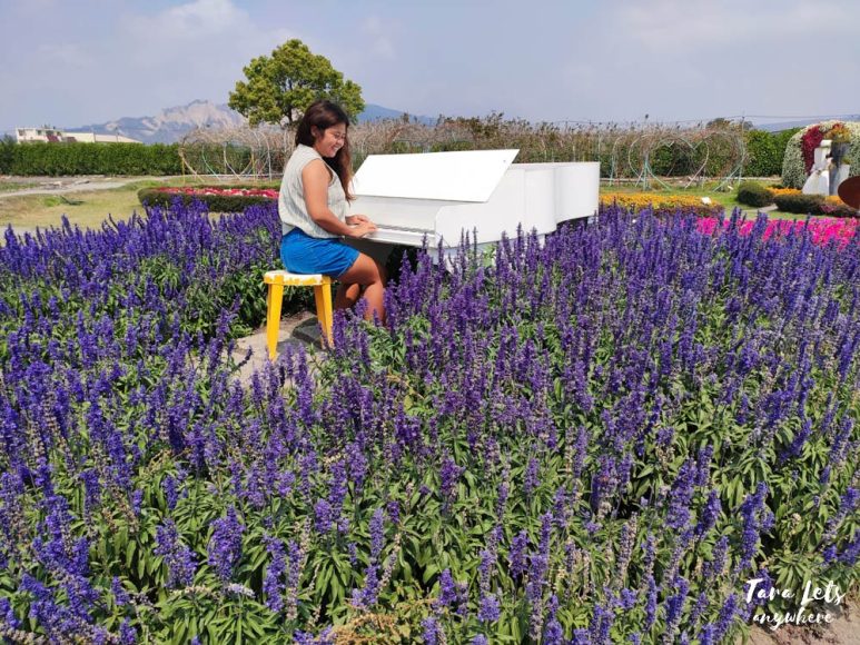 Flower fields in Houli Flower Farm in Taichung