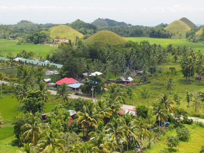 Chocolate Hills in Bohol