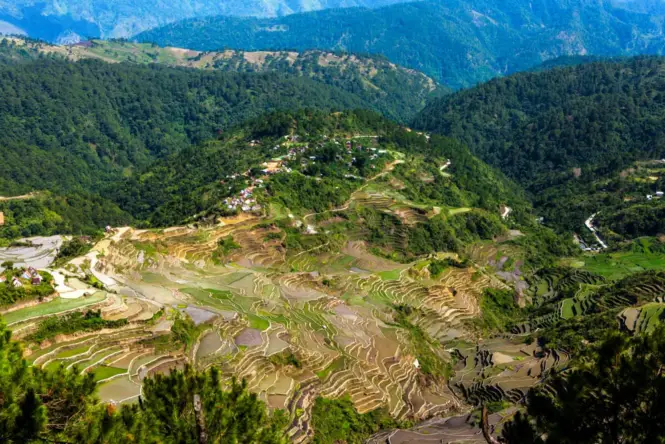 Maligcong Rice Terraces in Bontoc, Mountain Province