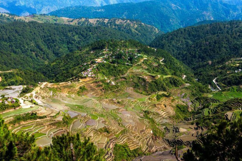 Maligcong Rice Terraces in Bontoc, Mountain Province