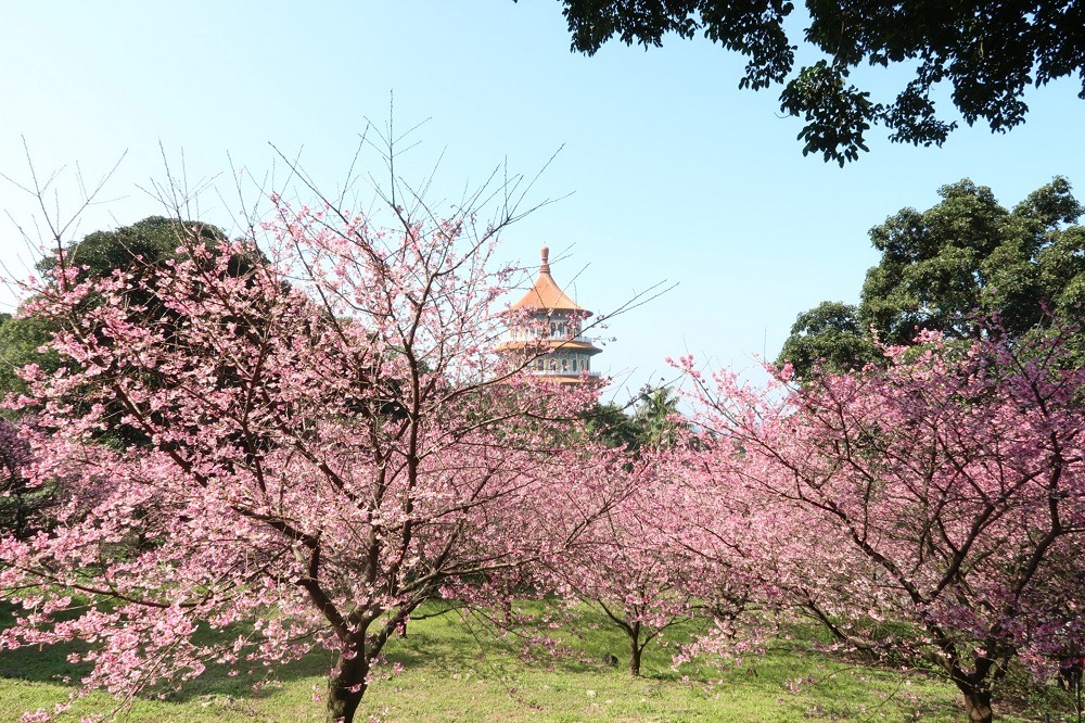 Wuji Tianyuan Temple in Tamsui