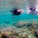 Snorkeling in Mabini, Batangas