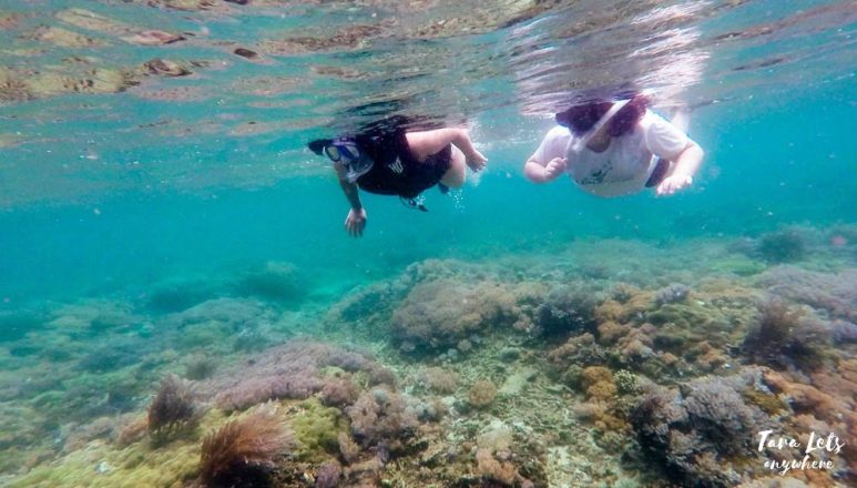 Snorkeling in Mabini, Batangas