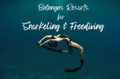 Batangas resorts for snorkeling and freediving