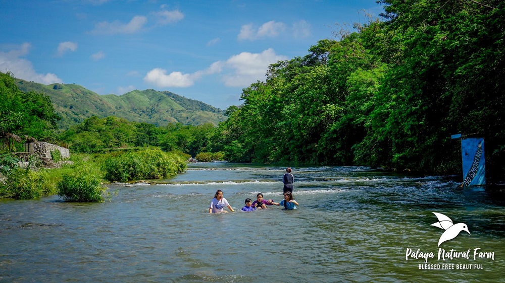 Palaya Natural Farm in Tanay, Rizal