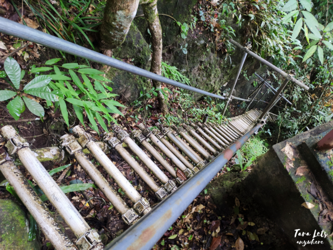 Steep ladder to Naculo Falls