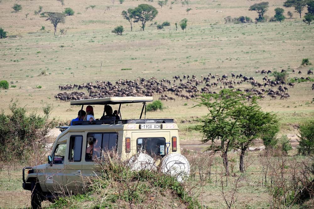 Safari tour in Tanzania