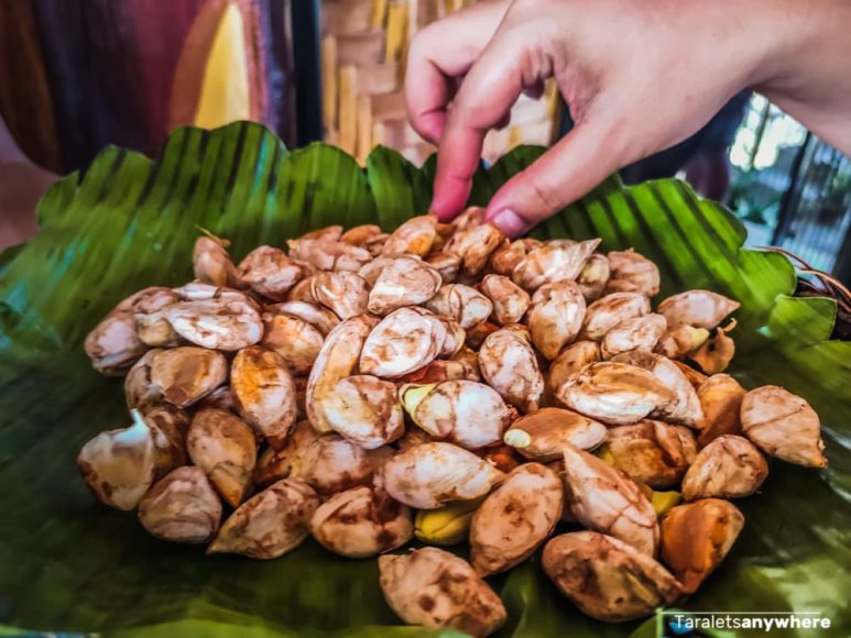 Fresh pili nuts in Sorsogon