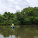 Kayaking in Botolan Mangrove Eco-park