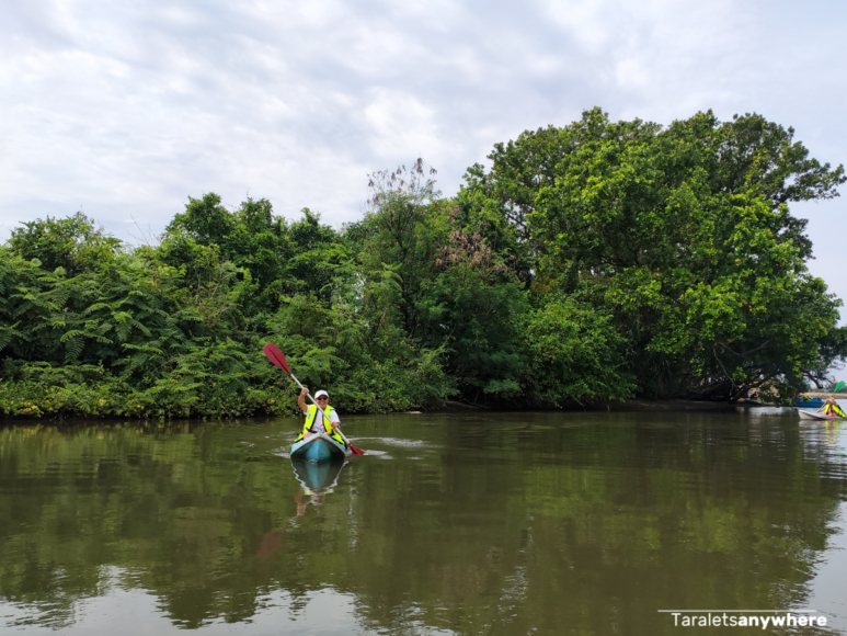 Kayaking in Botolan Mangrove Eco-park