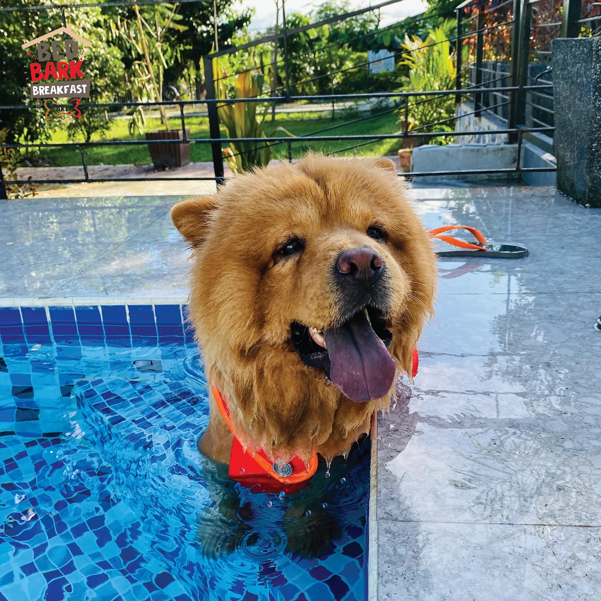 10 BEST Tarlac Resorts and Hotels (City, Nature, Exclusive Staycations