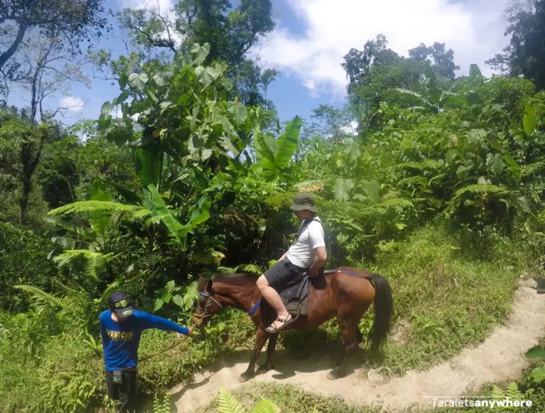 Horseback riding in Kilangin
